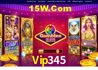 Vip345 - Customer Support